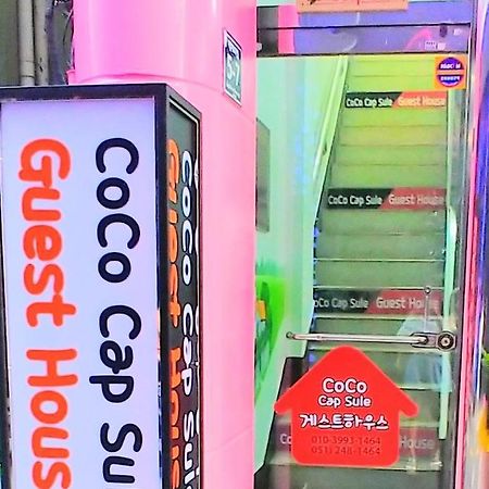 Coco Capsule Guesthouse Μπουσάν Εξωτερικό φωτογραφία