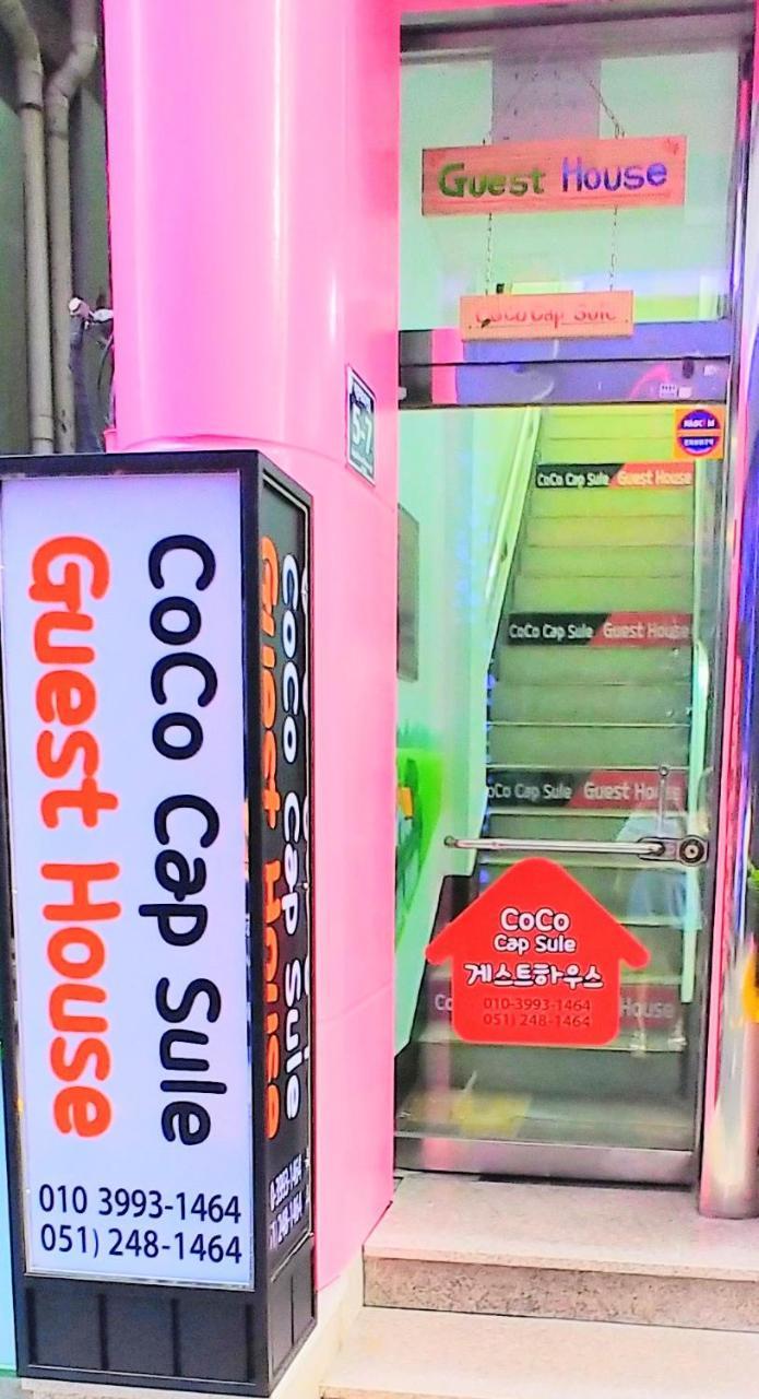 Coco Capsule Guesthouse Μπουσάν Εξωτερικό φωτογραφία